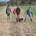 The crazy dog runs around, New Year's Day, Brome, Suffolk - 1st January 2022