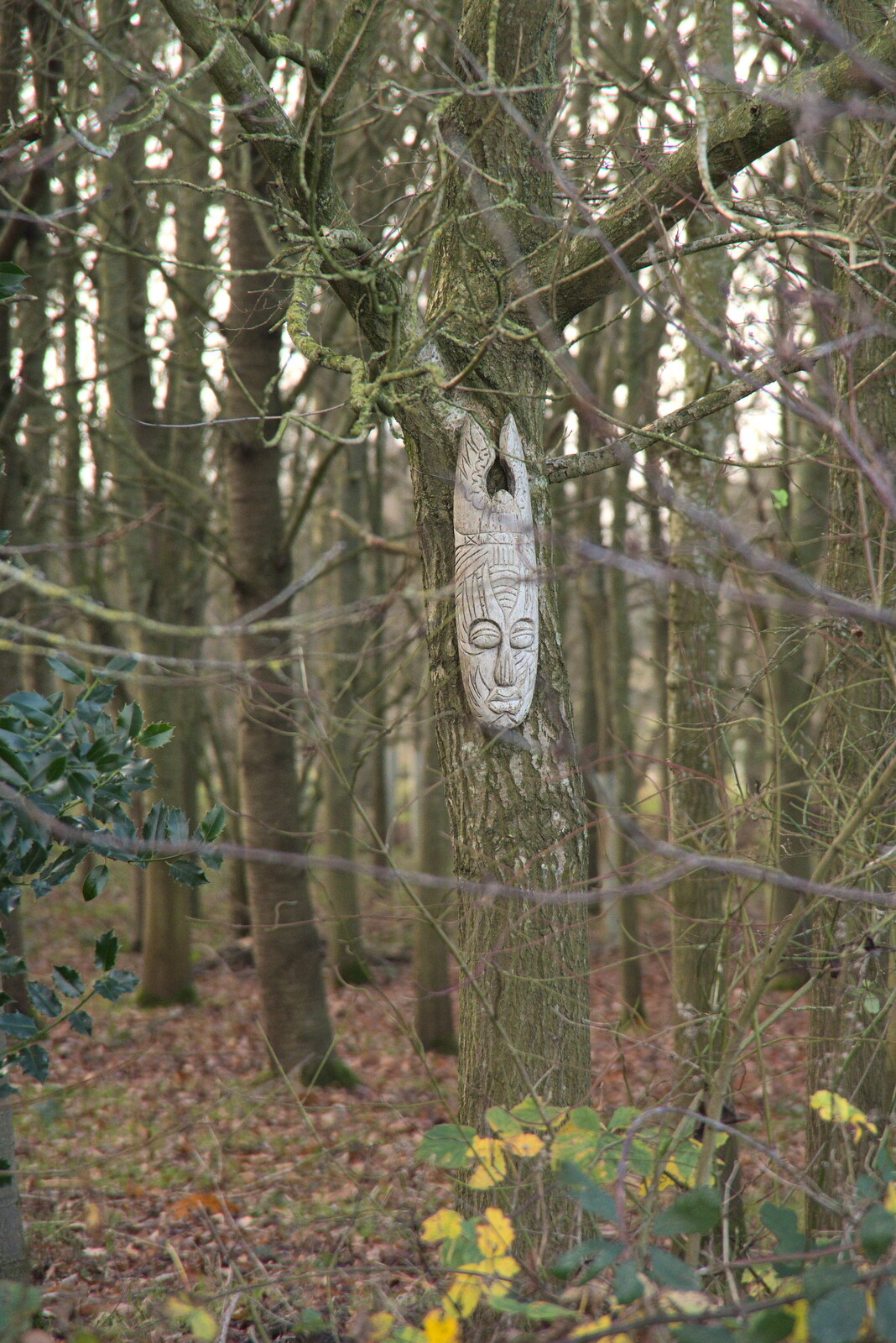 There's a wooden head in the woods from New Year's Day, Brome, Suffolk - 1st January 2022