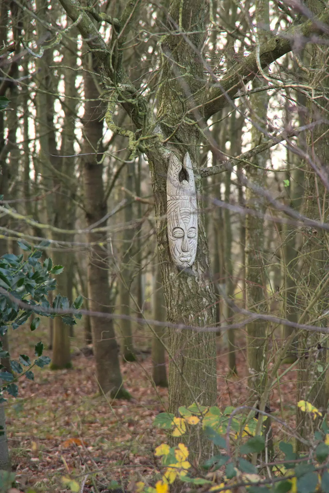 There's a wooden head in the woods, from New Year's Day, Brome, Suffolk - 1st January 2022