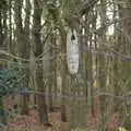 There's a wooden head in the woods, New Year's Day, Brome, Suffolk - 1st January 2022