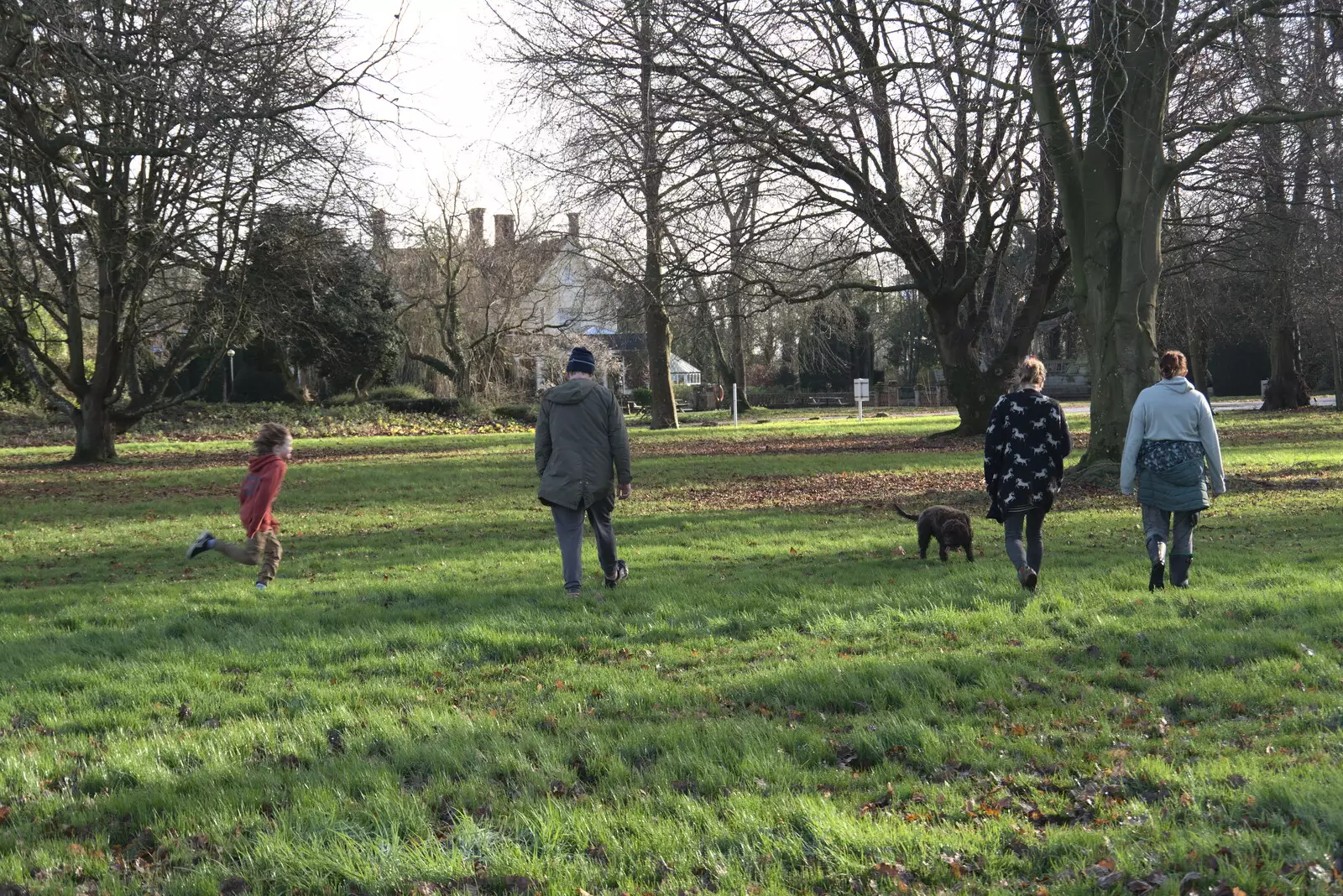 Benson runs across the Oaksmere's field, from New Year's Day, Brome, Suffolk - 1st January 2022