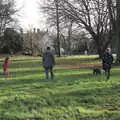 Benson runs across the Oaksmere's field, New Year's Day, Brome, Suffolk - 1st January 2022