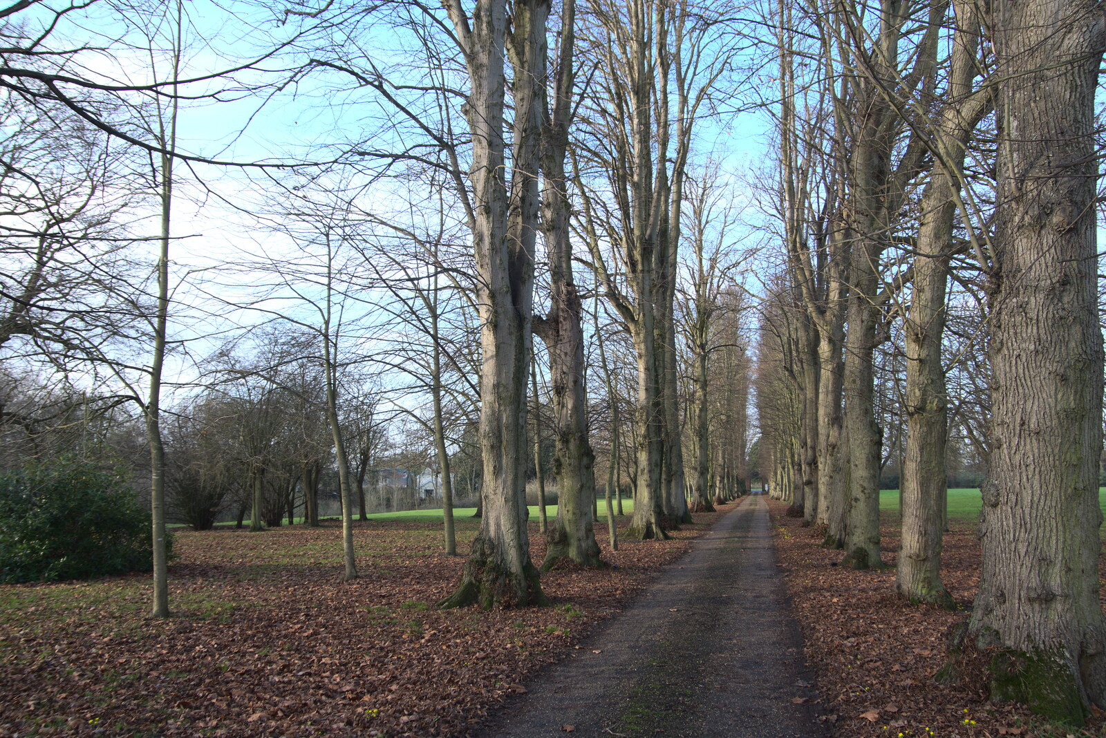 The Oaksmere drive from New Year's Day, Brome, Suffolk - 1st January 2022