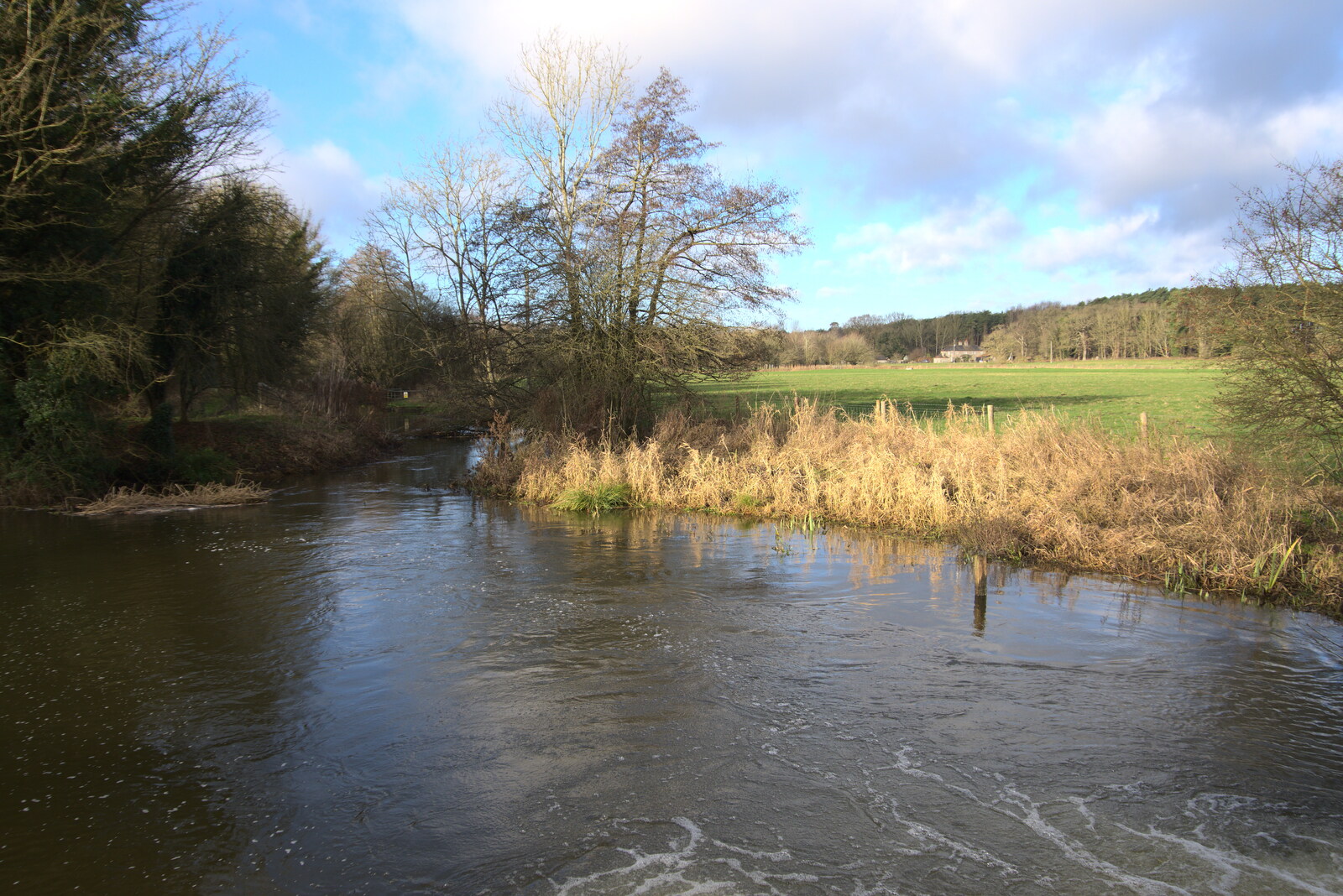 The river and pond by the car park from A Walk Around Knettishall Heath, Thetford, Norfolk - 2nd January 2022