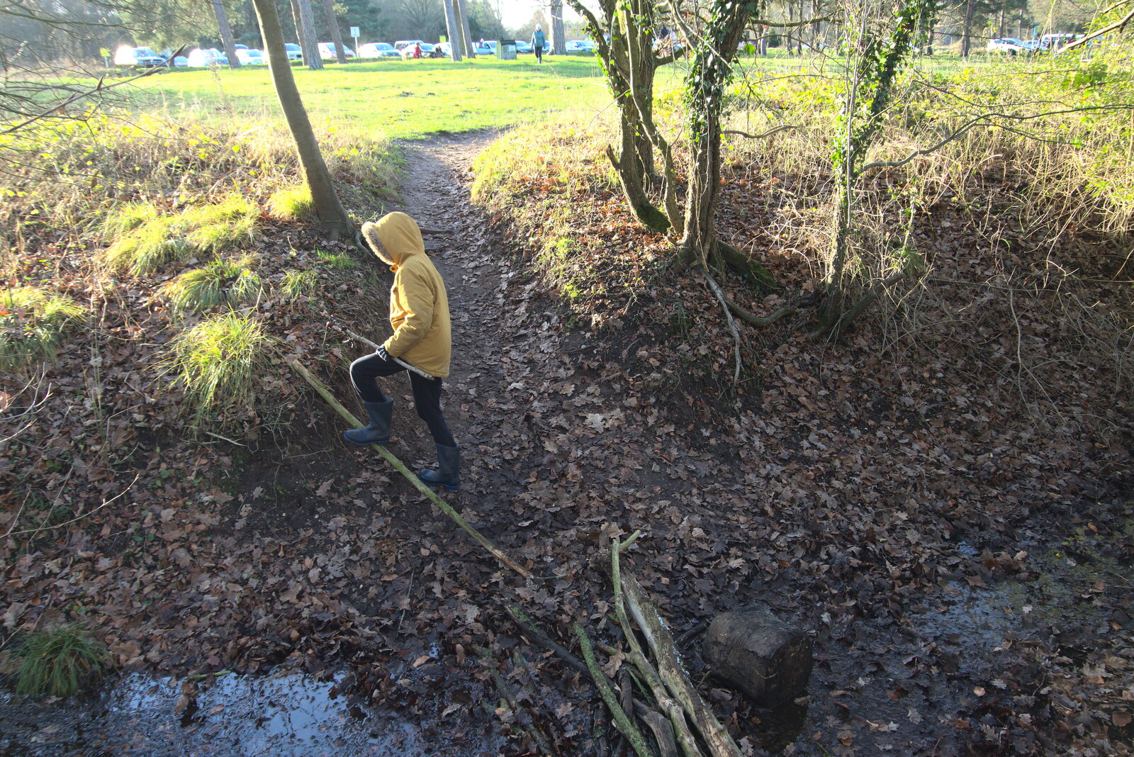 Harry roams around from A Walk Around Knettishall Heath, Thetford, Norfolk - 2nd January 2022