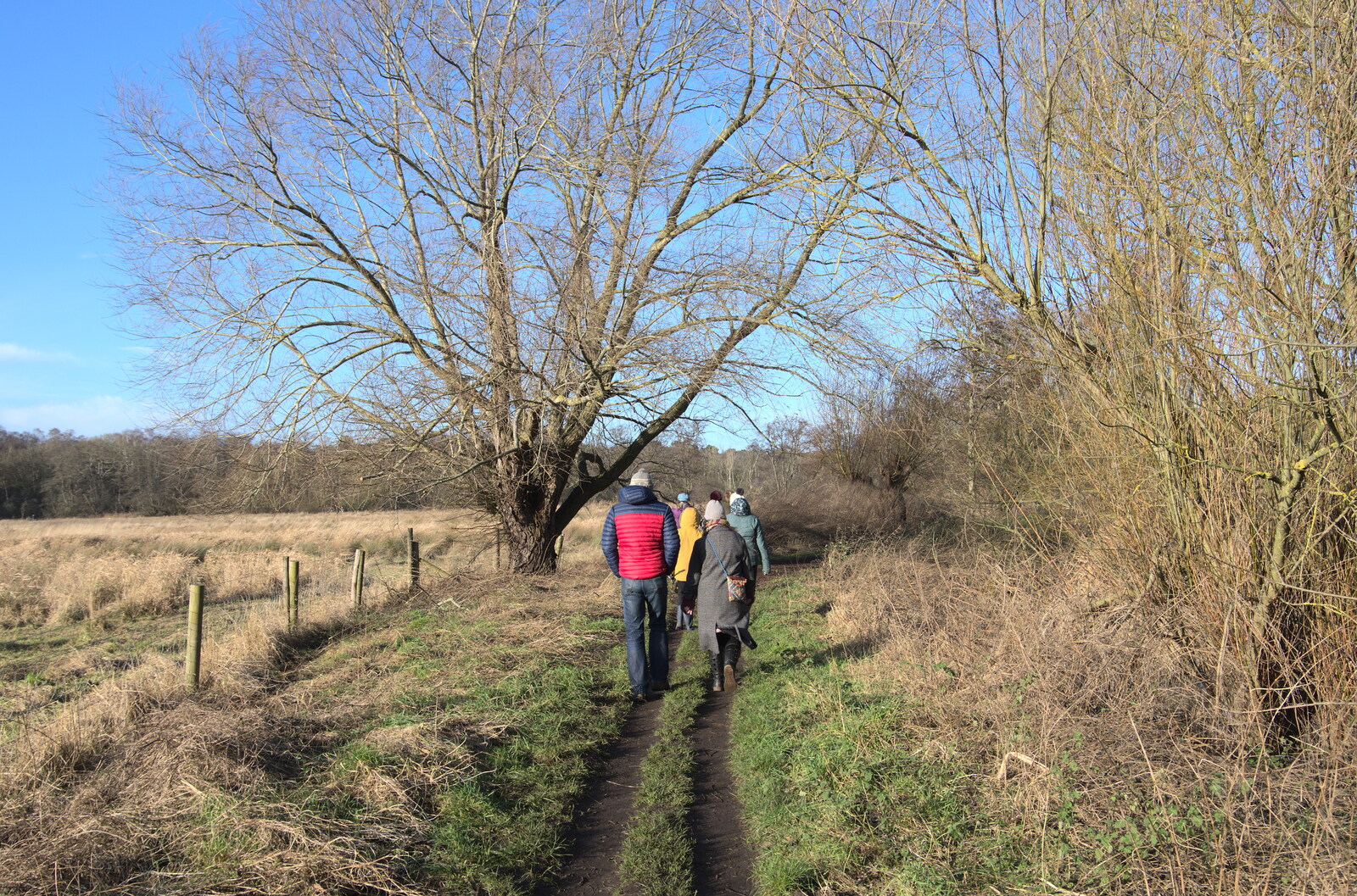The walking continues from A Walk Around Knettishall Heath, Thetford, Norfolk - 2nd January 2022