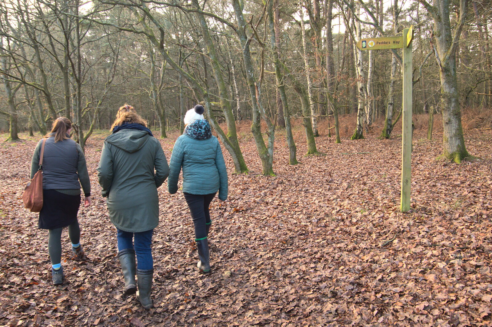 Sarah and Isobel walk a bit of the Peddar's Way from A Walk Around Knettishall Heath, Thetford, Norfolk - 2nd January 2022