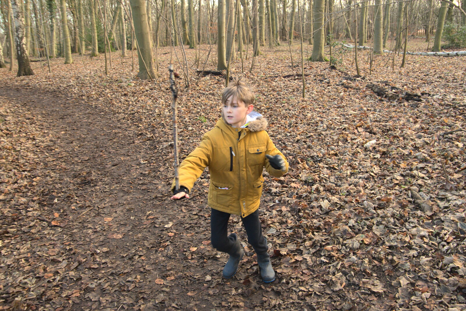 Harry balances a stick from A Walk Around Knettishall Heath, Thetford, Norfolk - 2nd January 2022