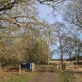 2022 More bare trees and a gate