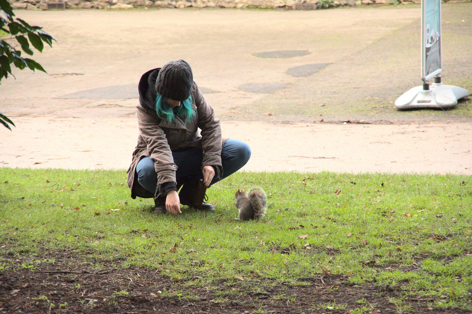 Someone feeds a squirrel from A Few Hours in Bury St. Edmunds, Suffolk - 3rd January 2022