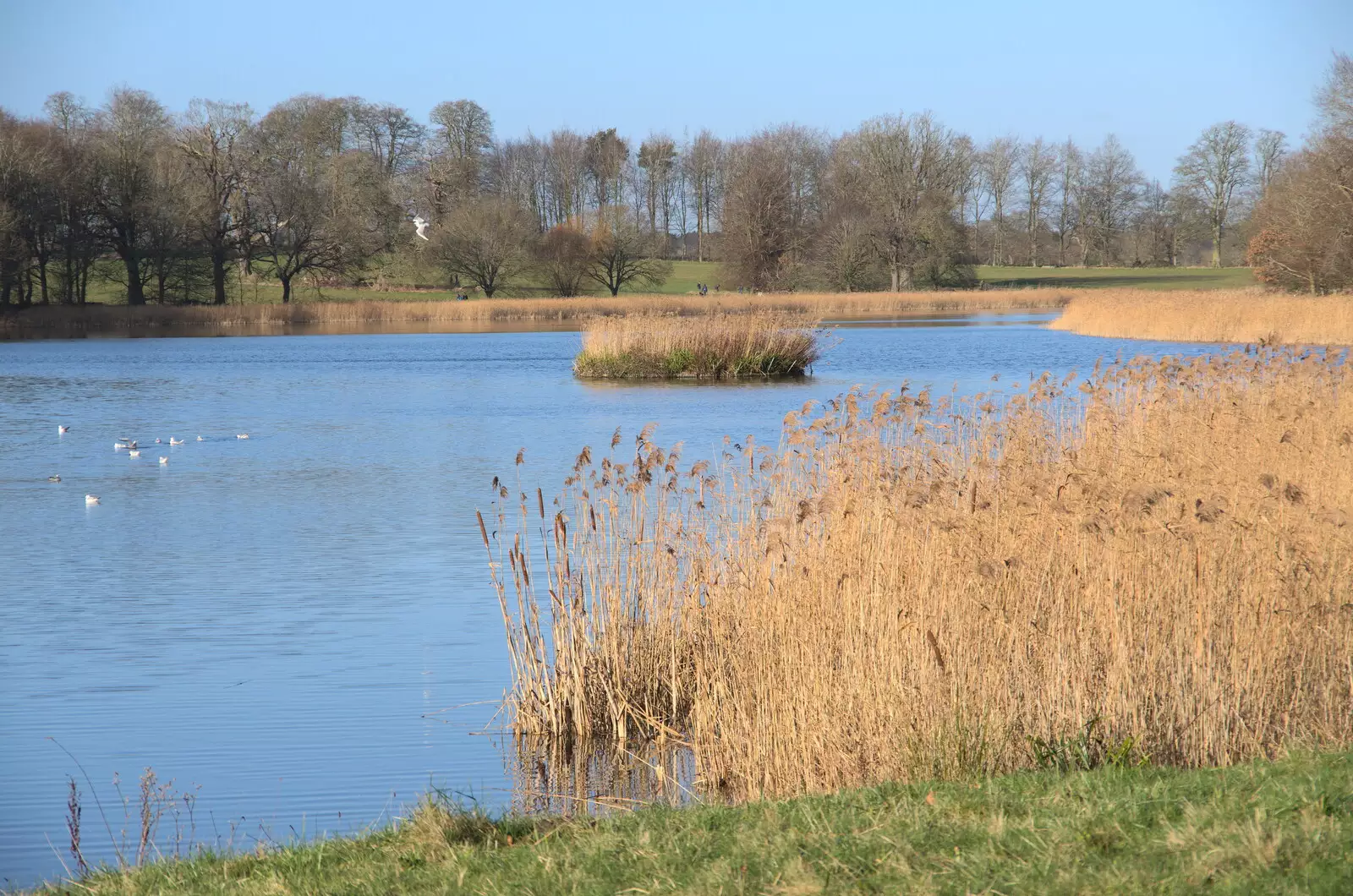 The lake by the hall, from A Visit to Blickling Hall, Aylsham, Norfolk - 9th January 2022