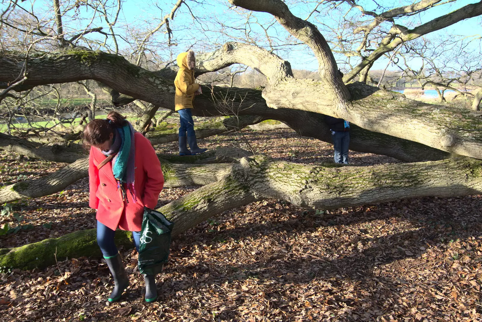 Isobel roams around, from A Visit to Blickling Hall, Aylsham, Norfolk - 9th January 2022