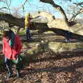 Isobel roams around, A Visit to Blickling Hall, Aylsham, Norfolk - 9th January 2022