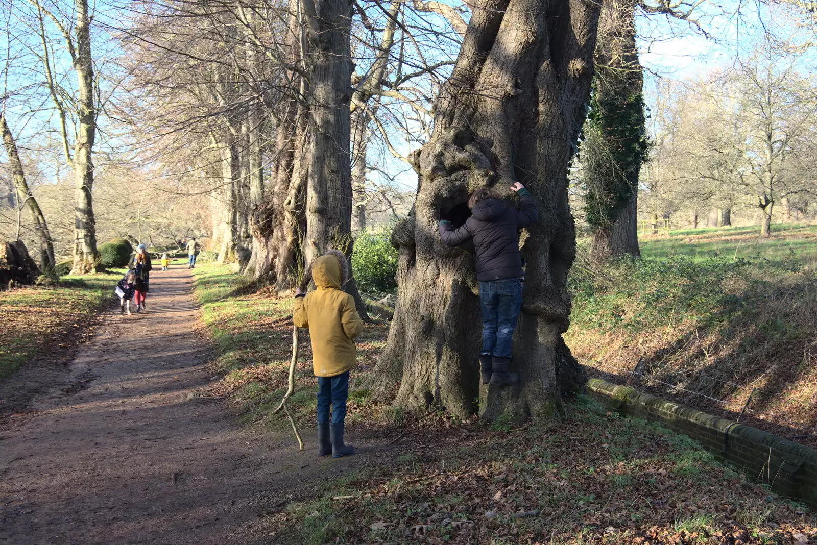 Harry wanders over for a look, from A Visit to Blickling Hall, Aylsham, Norfolk - 9th January 2022