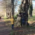 Harry wanders over for a look, A Visit to Blickling Hall, Aylsham, Norfolk - 9th January 2022