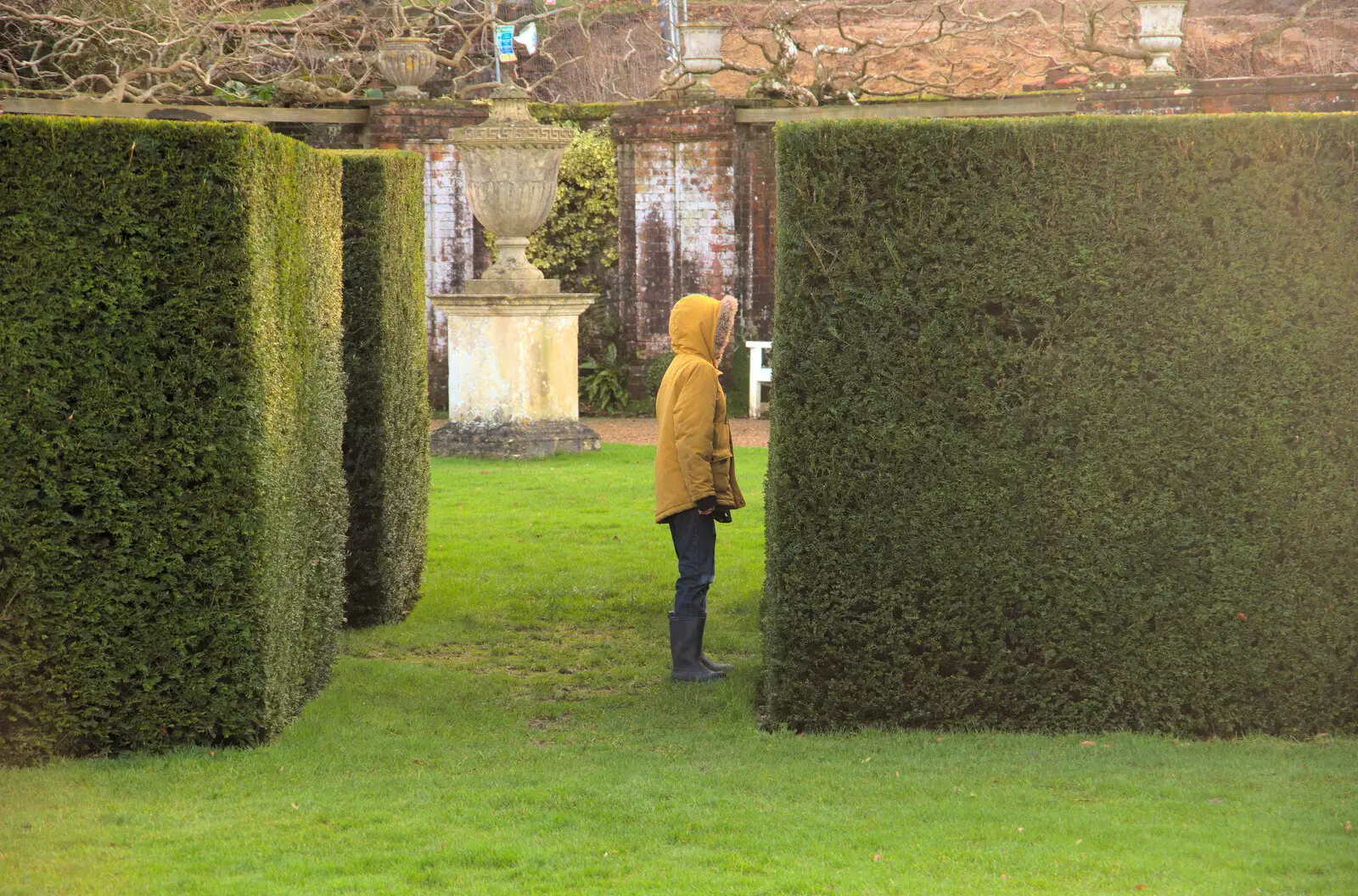 Harry does a bit of hiding, from A Visit to Blickling Hall, Aylsham, Norfolk - 9th January 2022