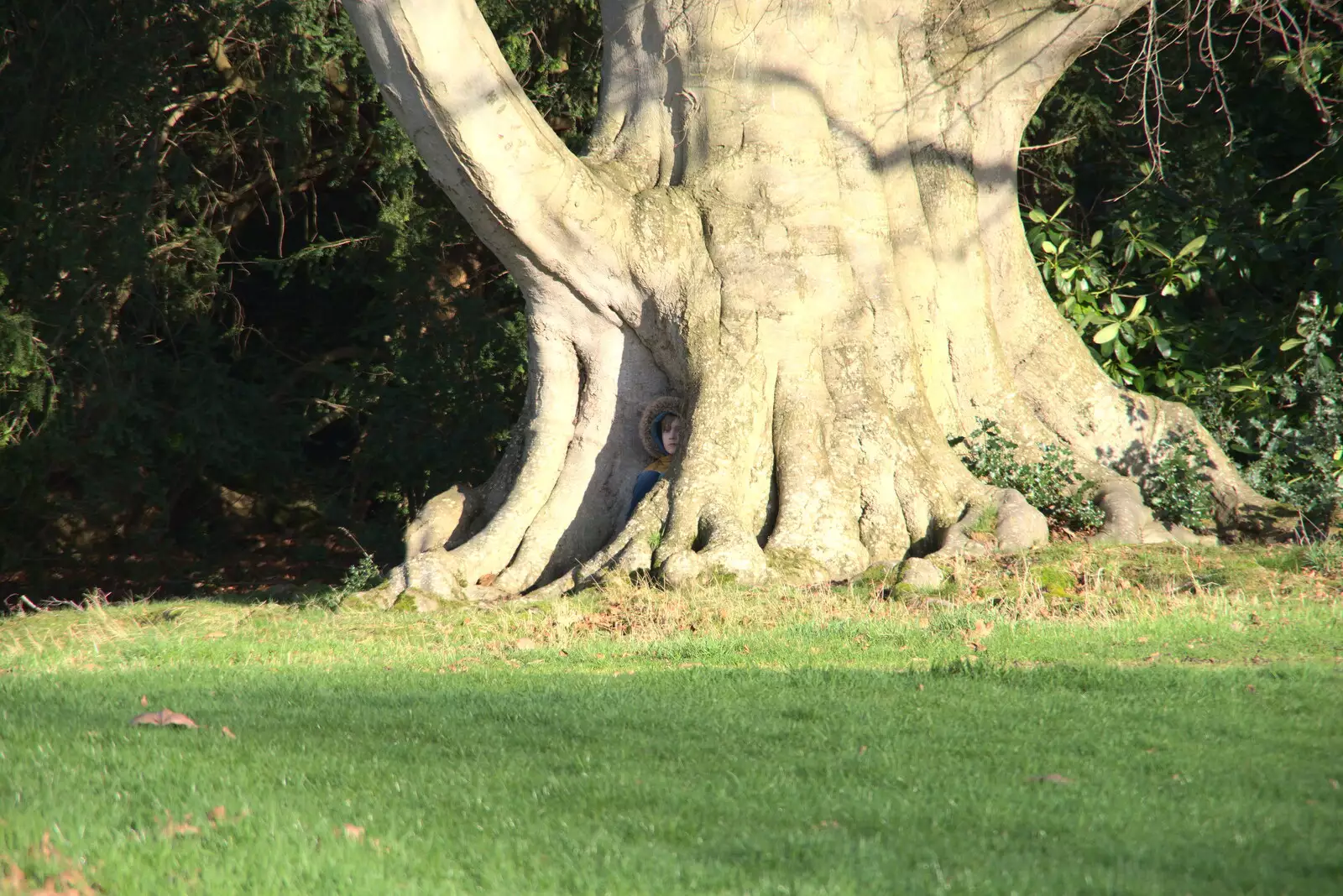 Harry's found a really good hiding place, from A Visit to Blickling Hall, Aylsham, Norfolk - 9th January 2022