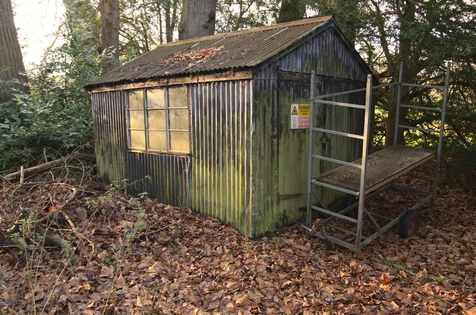 A near-derelict shed in the woods, from A Visit to Blickling Hall, Aylsham, Norfolk - 9th January 2022