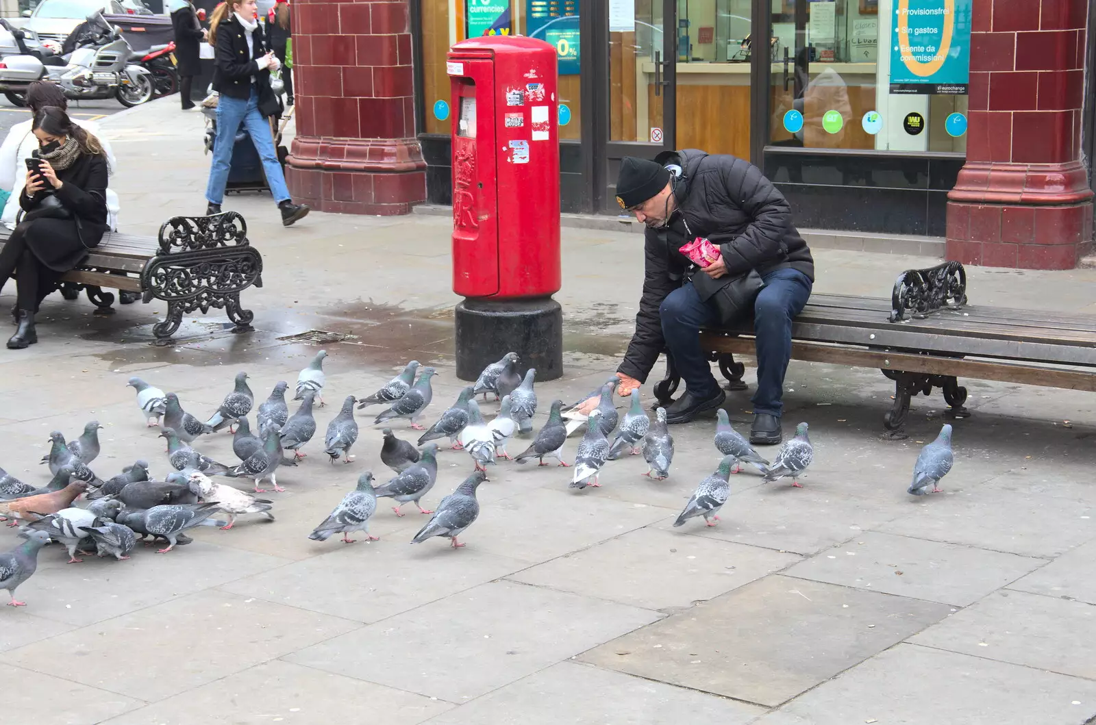 Some dude feeds the pigeons, from A Trip to the Natural History Museum, Kensington, London - 15th January 2022