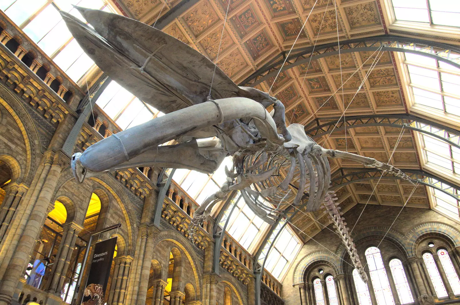 The blue whale skeleton which replaced Dippy, from A Trip to the Natural History Museum, Kensington, London - 15th January 2022