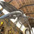 The blue whale skeleton which replaced Dippy, A Trip to the Natural History Museum, Kensington, London - 15th January 2022