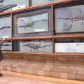 Fossil plesiosaurs on the wall, A Trip to the Natural History Museum, Kensington, London - 15th January 2022