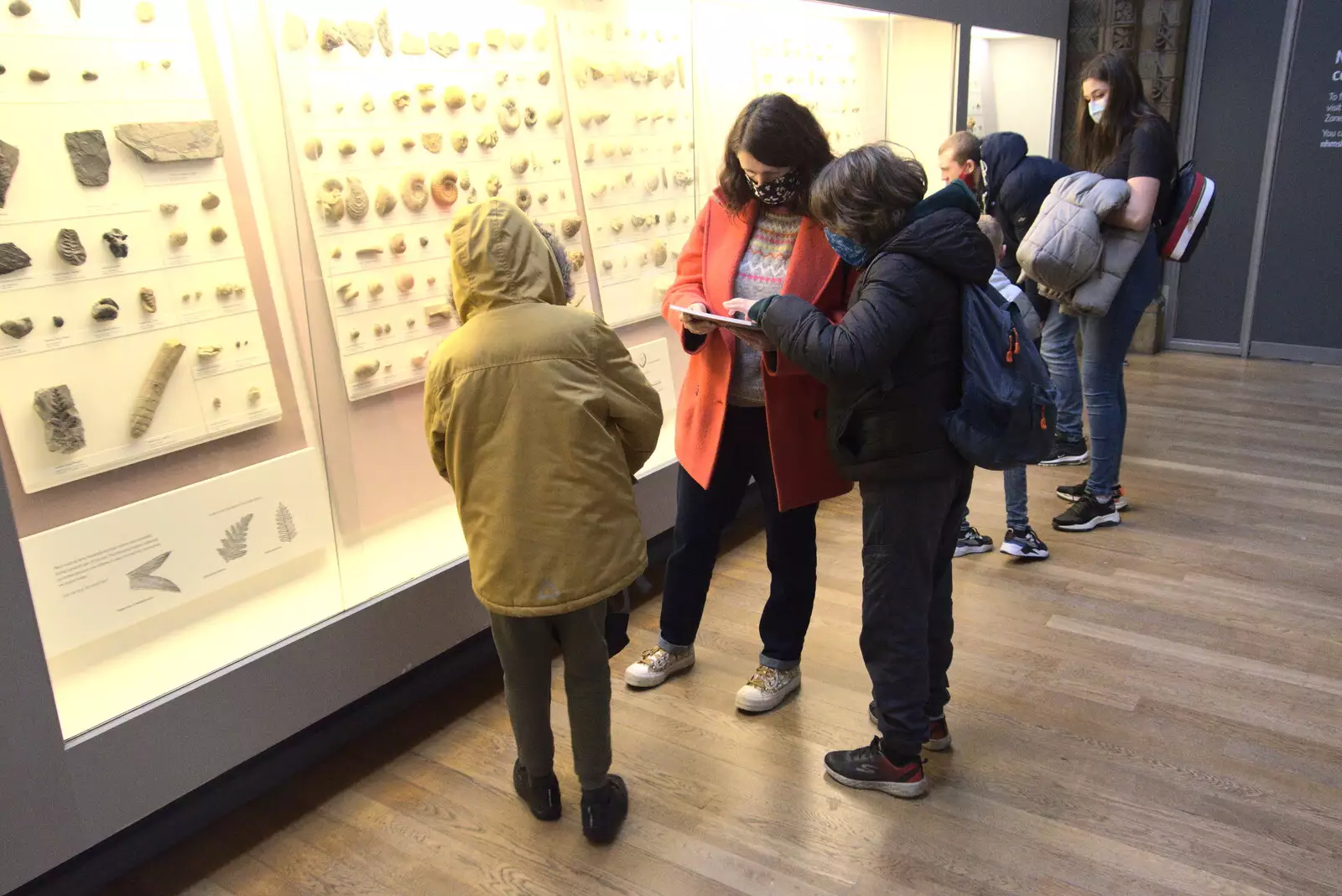 We look at more fossils, from A Trip to the Natural History Museum, Kensington, London - 15th January 2022