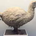 Dead as a Dodo, A Trip to the Natural History Museum, Kensington, London - 15th January 2022