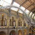 A view of the rear of the blue whal skeleton, A Trip to the Natural History Museum, Kensington, London - 15th January 2022