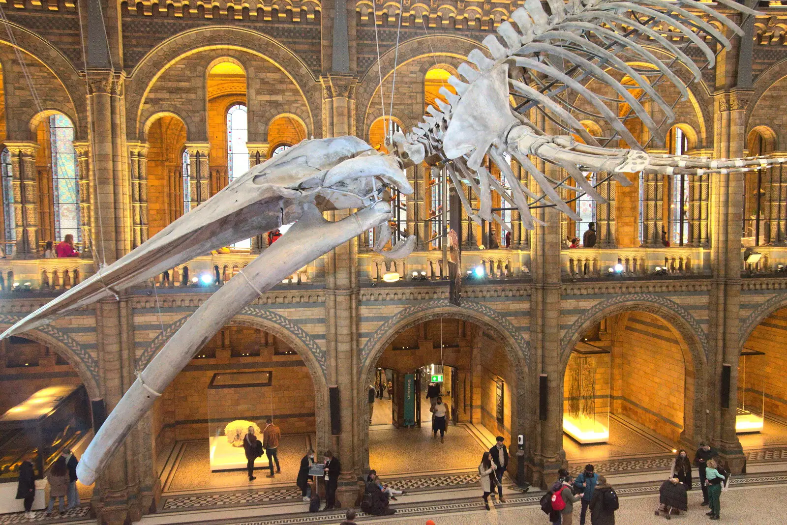 The head of the blue whale, from A Trip to the Natural History Museum, Kensington, London - 15th January 2022