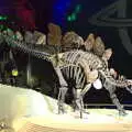 A stegosaurus skeleton, A Trip to the Natural History Museum, Kensington, London - 15th January 2022