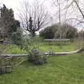 Storm Eunice blows down the Eucalyptus tree, The Swan Inn: An Epilogue, Brome, Suffolk - 17th February 2022