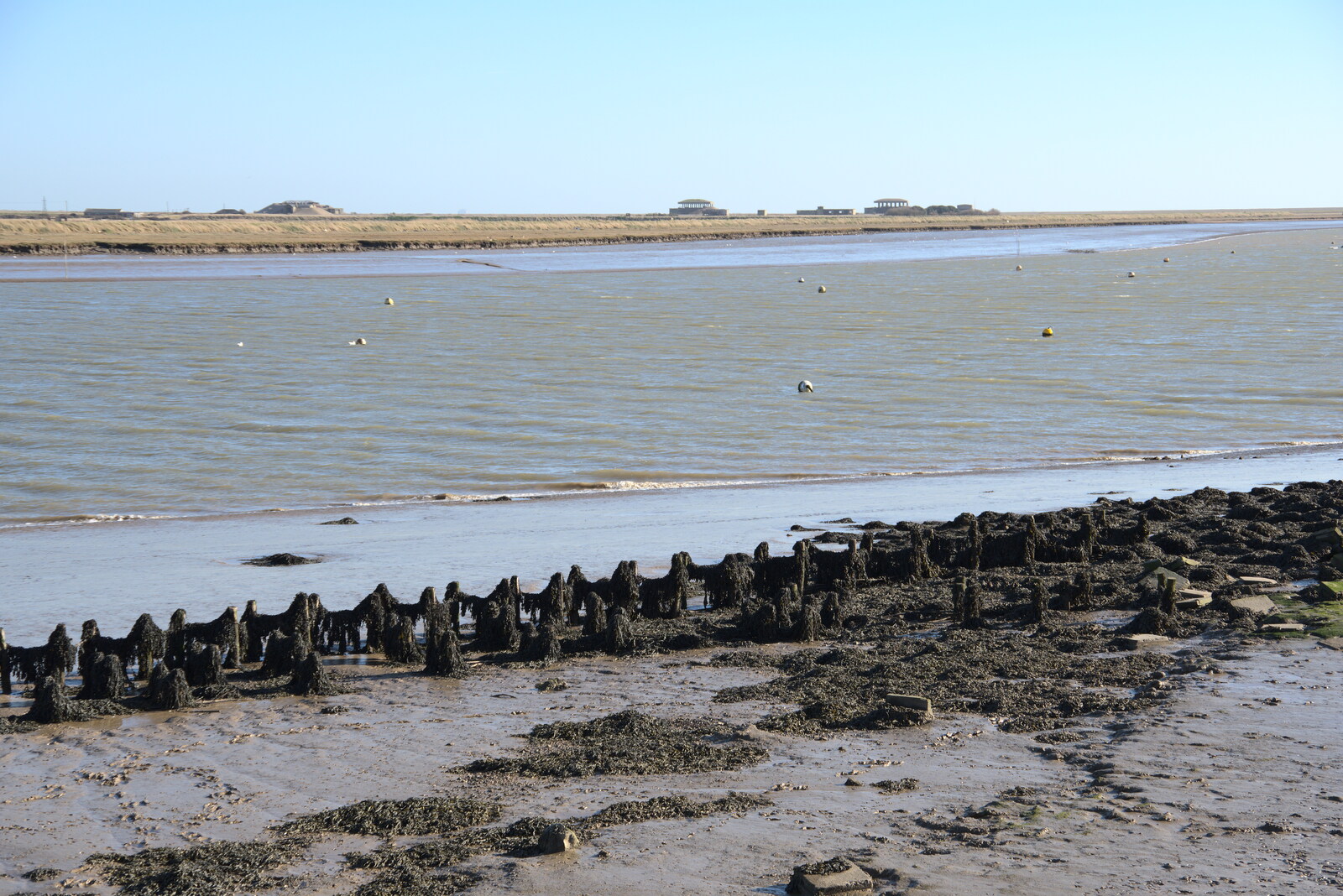 The River Alde from A Trip to Orford Castle, Orford, Suffolk - 26th February 2022