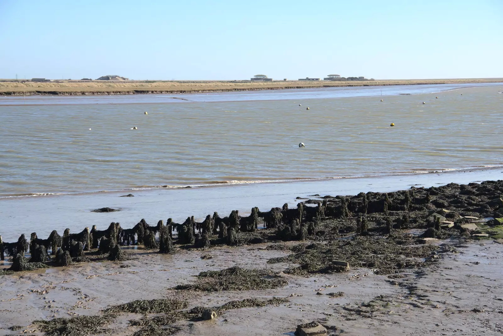 The River Alde, from A Trip to Orford Castle, Orford, Suffolk - 26th February 2022