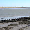 The River Alde, A Trip to Orford Castle, Orford, Suffolk - 26th February 2022