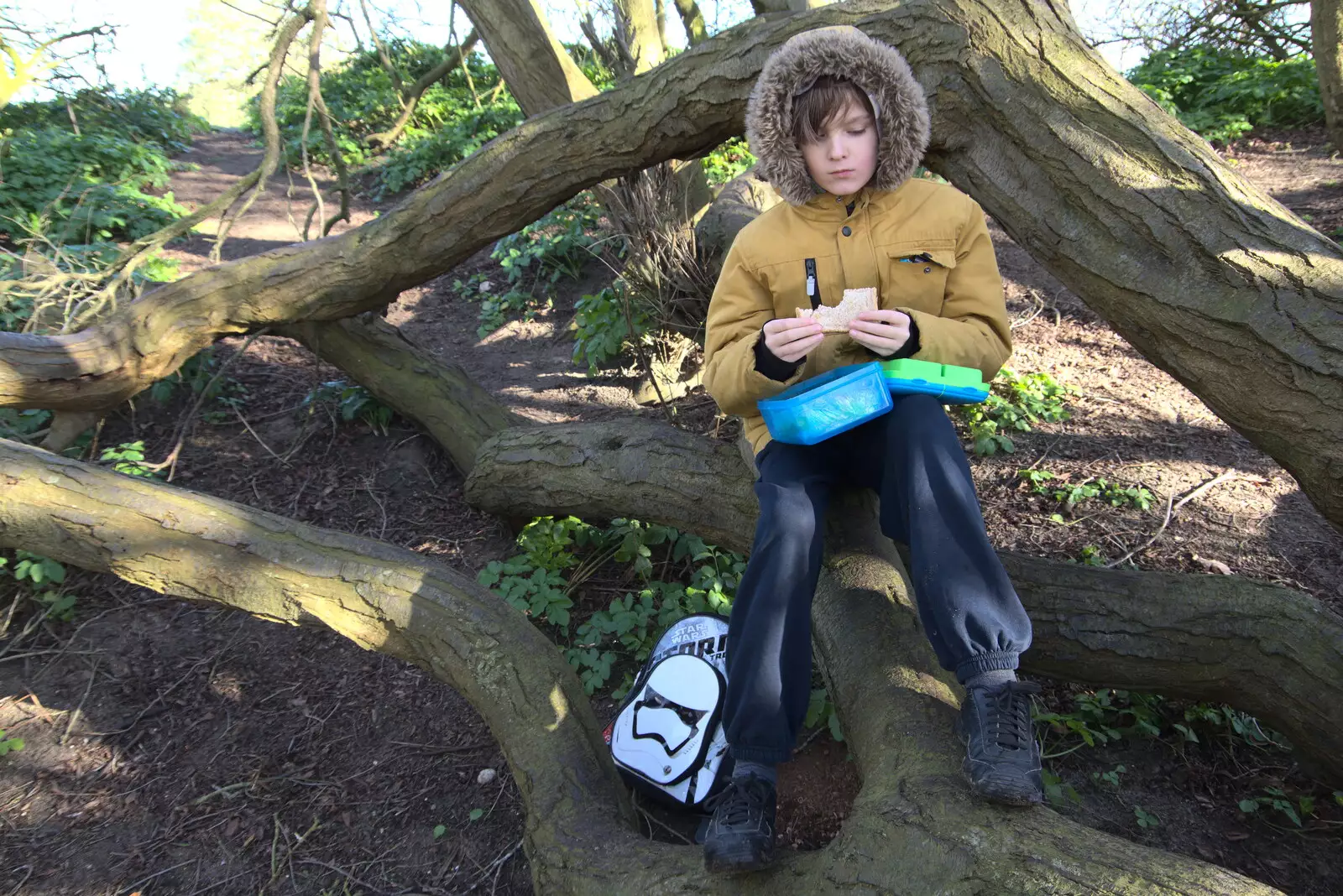 Harry has a picnic in a tree, from A Trip to Orford Castle, Orford, Suffolk - 26th February 2022