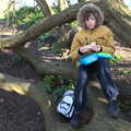 Harry has a picnic in a tree, A Trip to Orford Castle, Orford, Suffolk - 26th February 2022