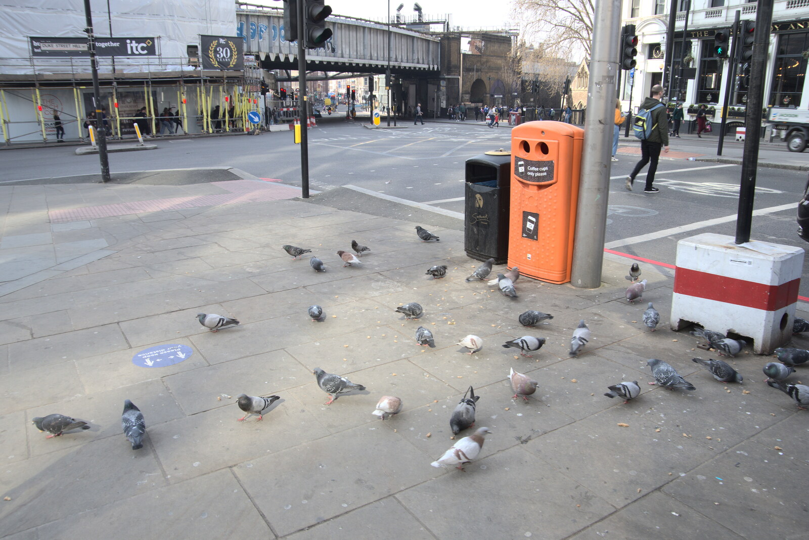 A Walk Around the South Bank, London - 25th March 2022: Pigeon action on London Bridge 