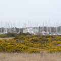 The Isle of Wight ferry behind a forest of masts, Bernice's Birthday and Walks Around New Milton and Lymington, Hampshire - 10th April 2022