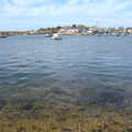 2022 The river at Keyhaven is nice and clear