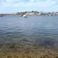 The river at Keyhaven is nice and clear, Bernice's Birthday and Walks Around New Milton and Lymington, Hampshire - 10th April 2022