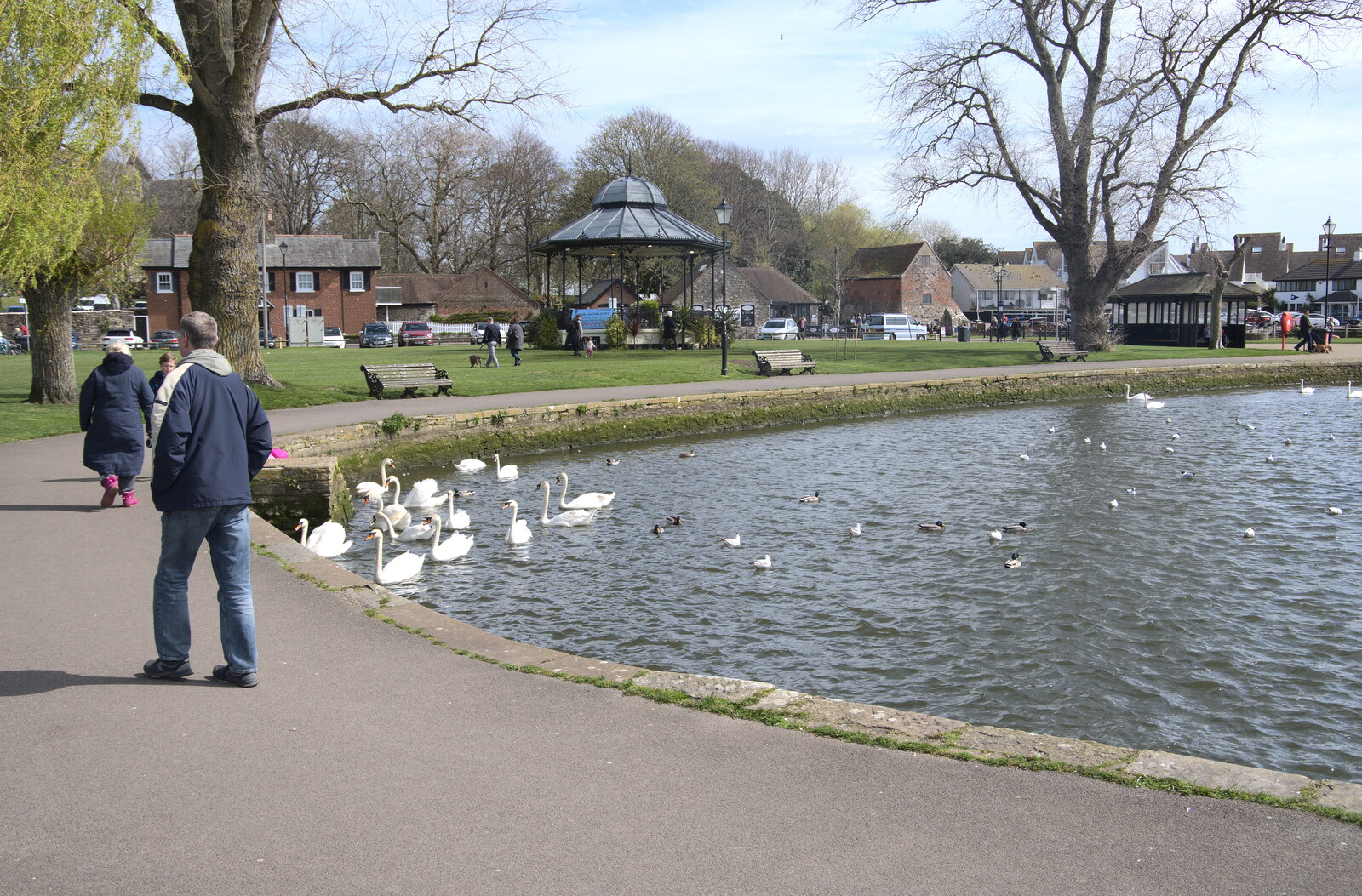 Bernice's Birthday and Walks Around New Milton and Lymington, Hampshire - 10th April 2022: Swans and the bandstand