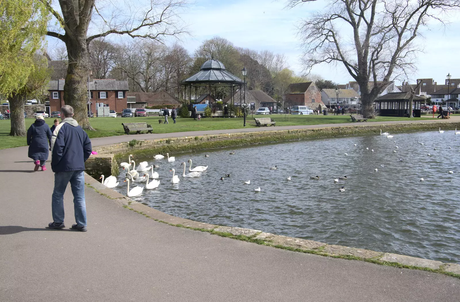 Swans and the bandstand, from Bernice's Birthday and Walks Around New Milton and Lymington, Hampshire - 10th April 2022