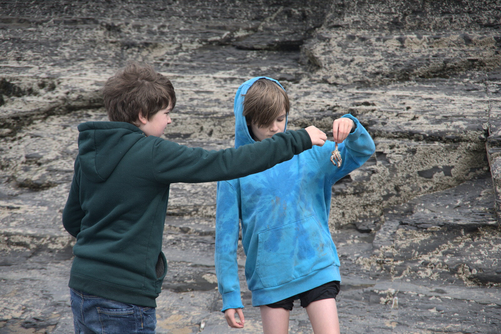 Harry finds a dead crab from Manorhamilton and Bundoran, Leitrim and Donegal, Ireland - 16th April 2022