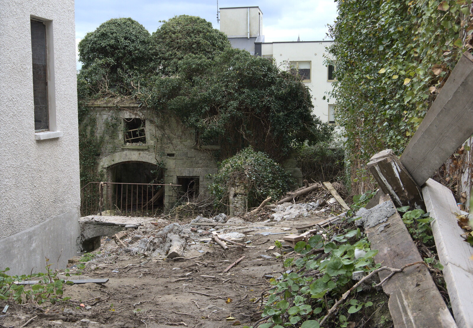 Another derelict building is taken over by trees from Manorhamilton and Bundoran, Leitrim and Donegal, Ireland - 16th April 2022