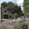 2022 Another derelict building is taken over by trees