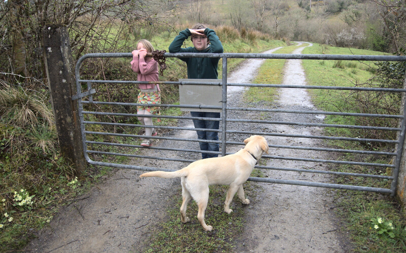 Rachel and Fred on the gate from Manorhamilton and Bundoran, Leitrim and Donegal, Ireland - 16th April 2022