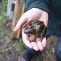 Fred finds a cool frog, Manorhamilton and Bundoran, Leitrim and Donegal, Ireland - 16th April 2022