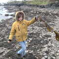 Harry flings some seaweed around, Greencastle, Doagh and Malin Head, County Donegal, Ireland - 19th April 2022