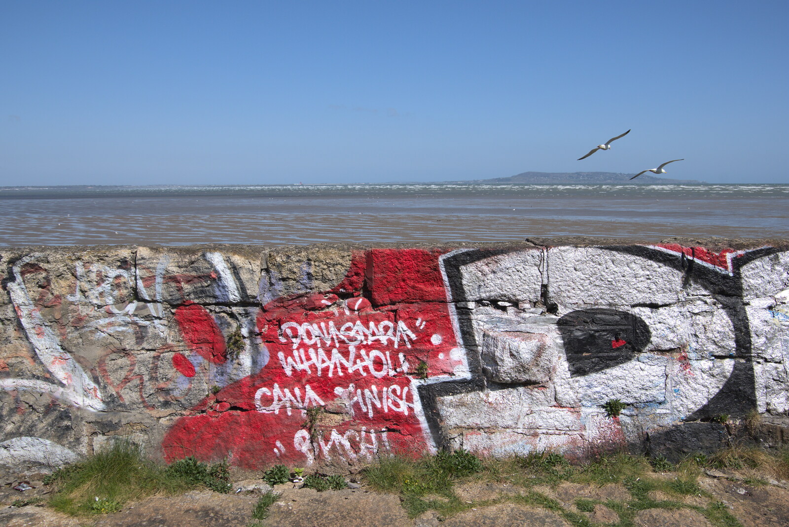 Blackrock North and South, Louth and County Dublin, Ireland - 23rd April 2022: Red and White tagging